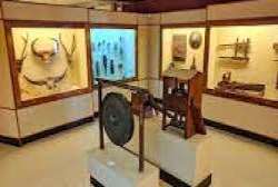 The collection of the museum portrays the past time scenario of Arunachal Pradesh, musical instruments, wood carvings, and traditional art which is wo